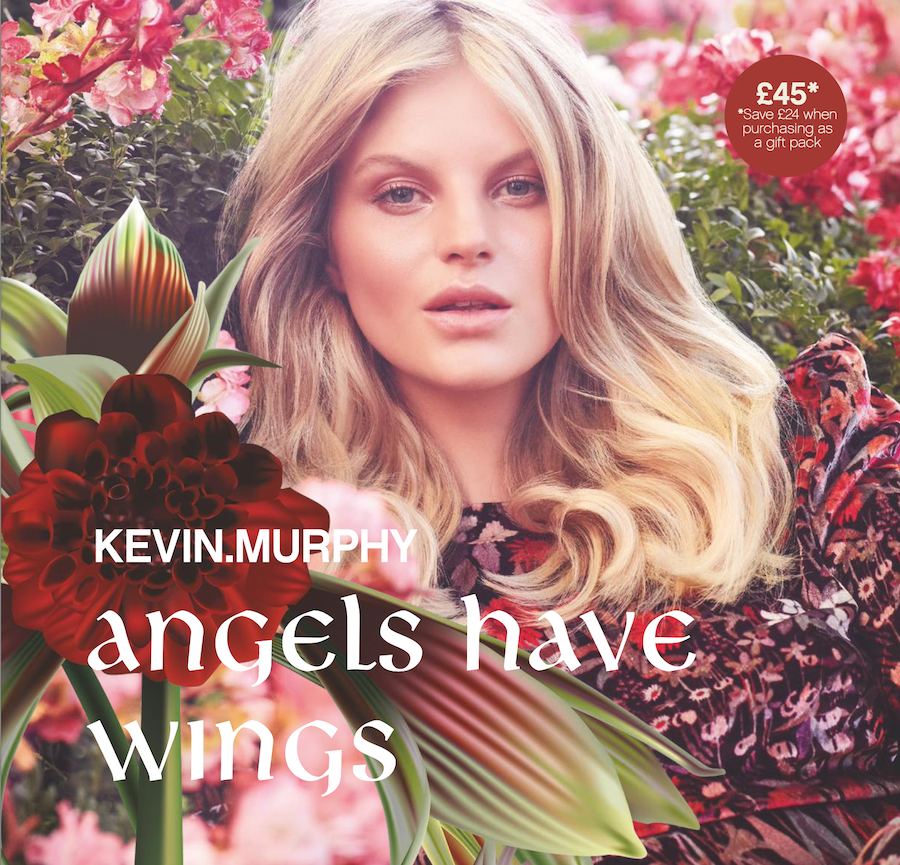 Angels-Have-Wings-by-Kevin.Murphy