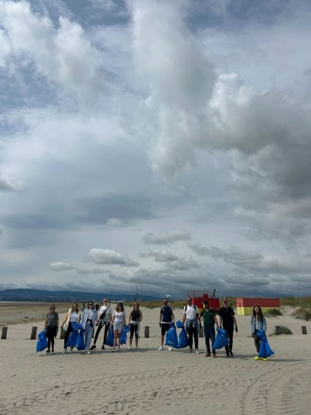 Phorest Beach Cleaning